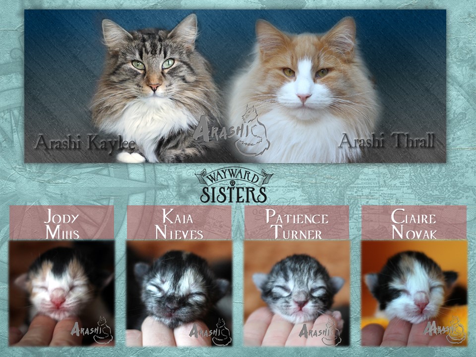 waywardsisterslitter